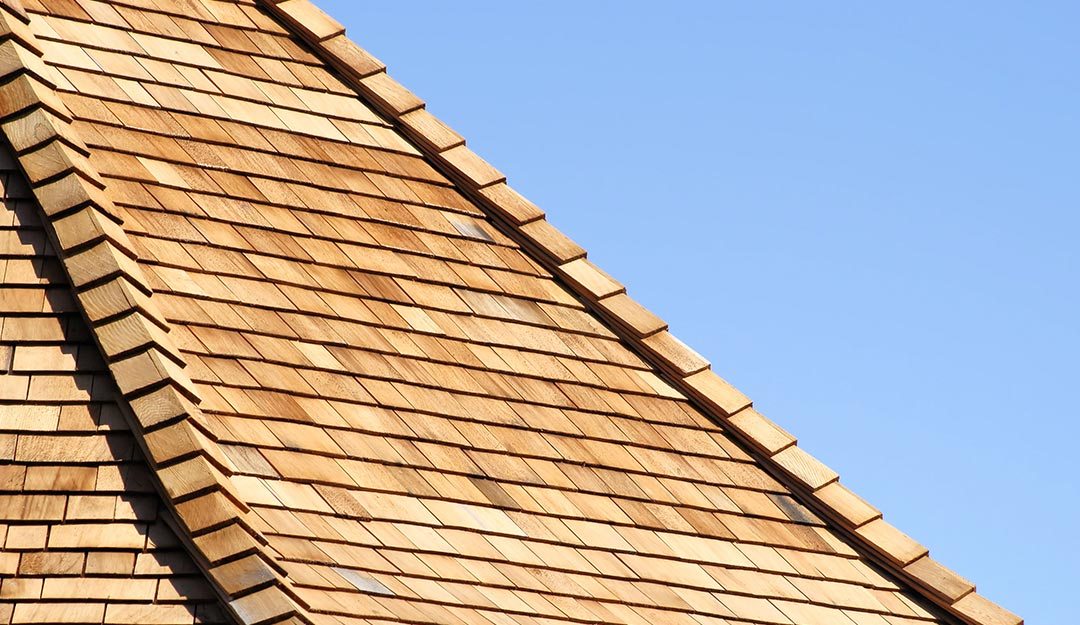 Shingles Roof